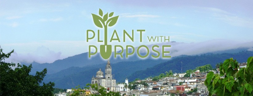 plant with purpose